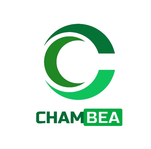 Footer Payment Image